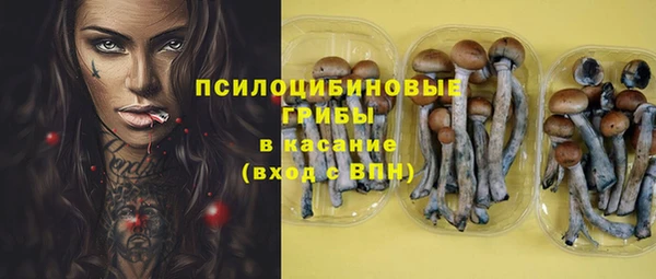 а пвп мука Алзамай
