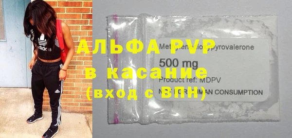 хмурый Алексин
