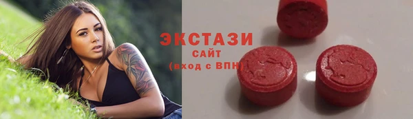 хмурый Алексин