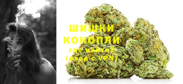 первитин Новодвинск