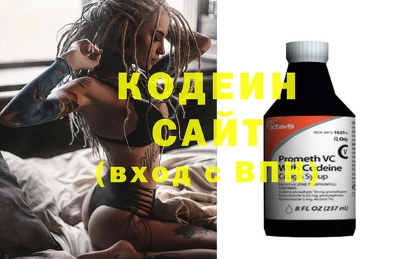 хмурый Алексин